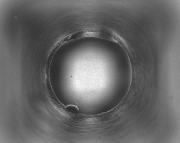 X0000064730059200602101200