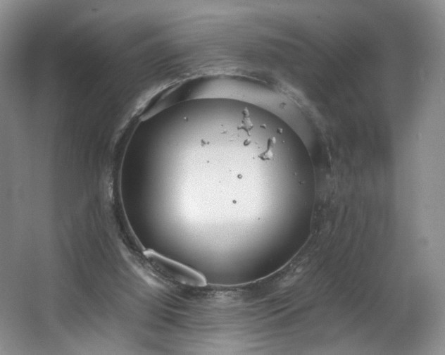 X0000064730060200602101200