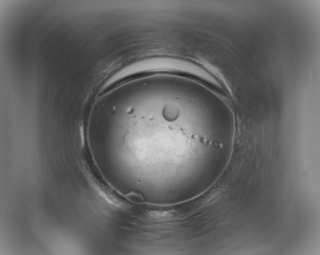 X0000064730061200602101200