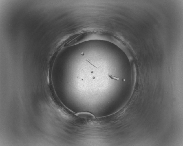 X0000064730062200602101200