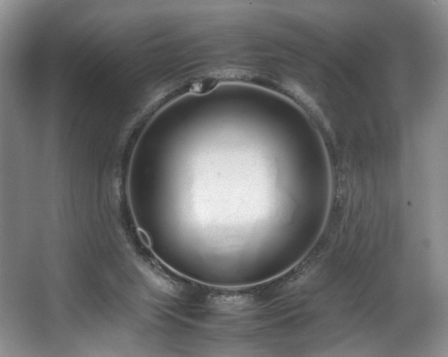 X0000064730063200602101200