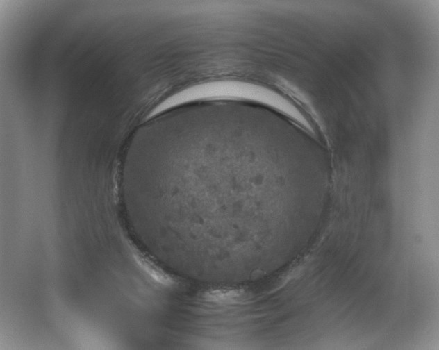 X0000064730065200602101200