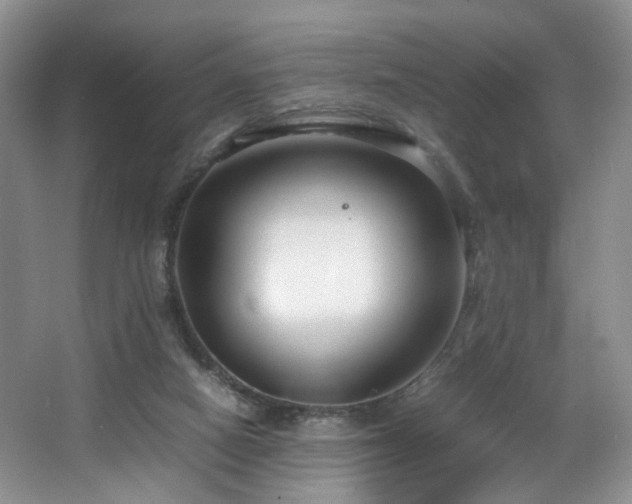 X0000064730066200602101200