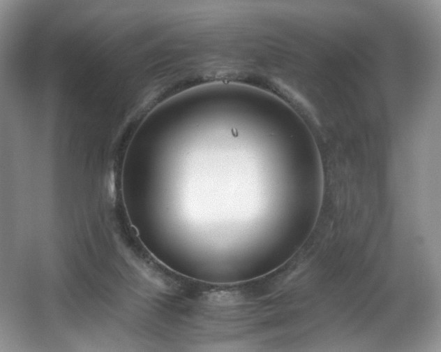 X0000064730067200602101200