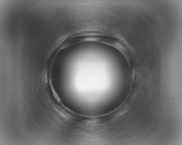 X0000064730068200602101200