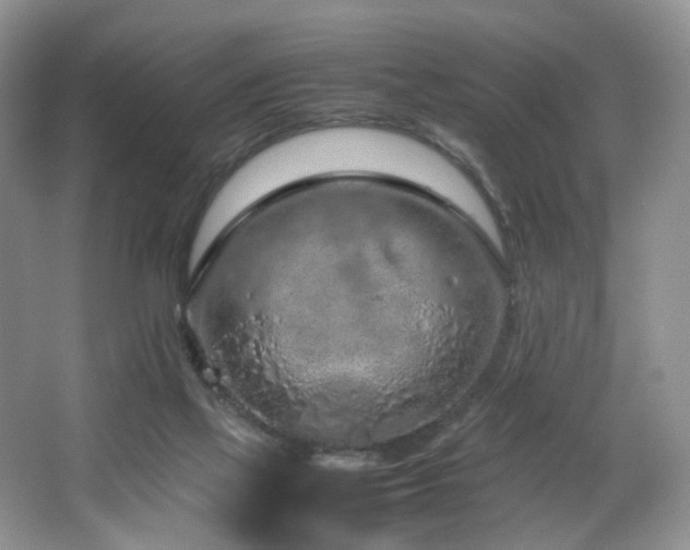 X0000064730069200602101200