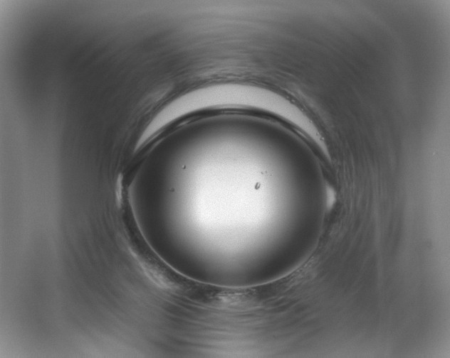 X0000064730070200602101200