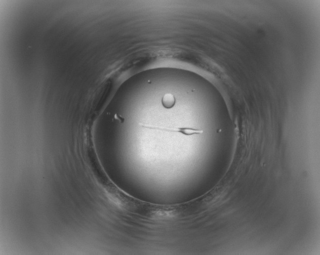 X0000064730071200602101200