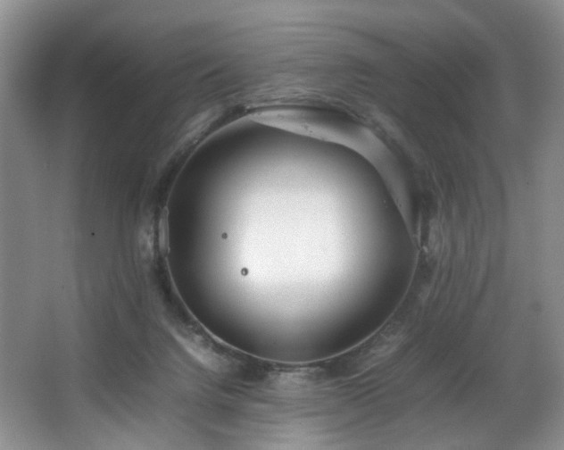 X0000064730072200602101200