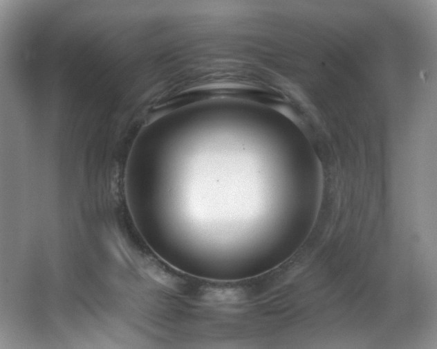 X0000064730073200602101201