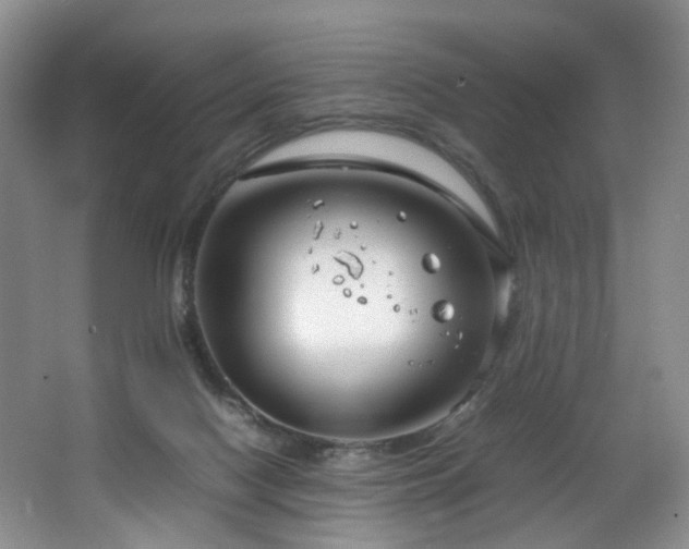 X0000064730074200602101201