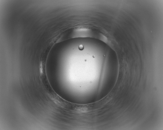 X0000064730075200602101201