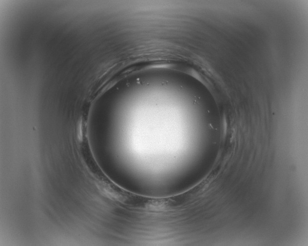 X0000064730076200602101201