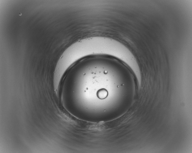 X0000064730077200602101201