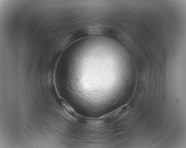 X0000064730081200602101201