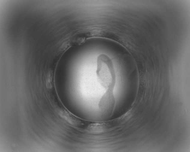 X0000064730082200602101201