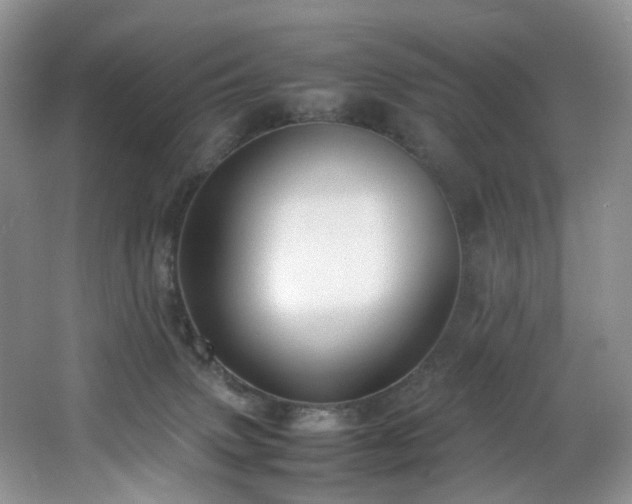 X0000064730083200602101201