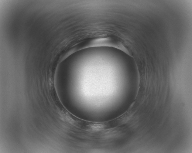 X0000064730085200602101201