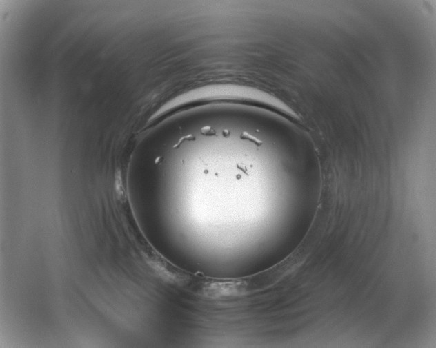 X0000064730089200602101201