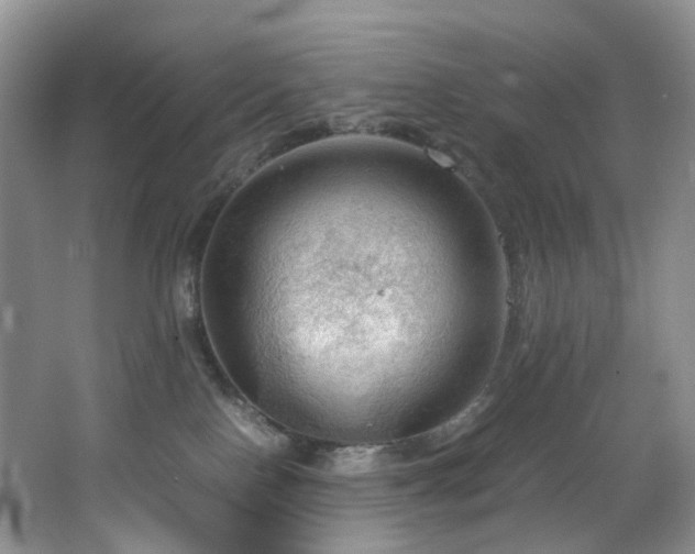 X0000064730090200602101201