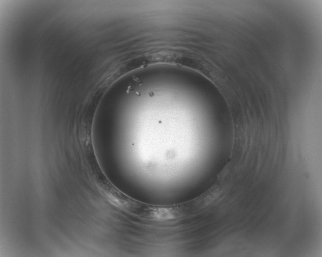 X0000064730091200602101201