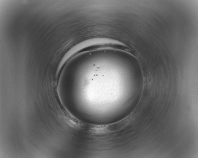 X0000064730093200602101201