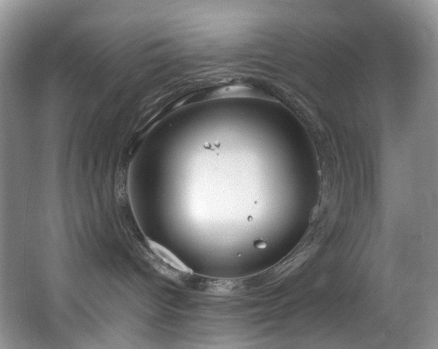 X0000064730096200602101201