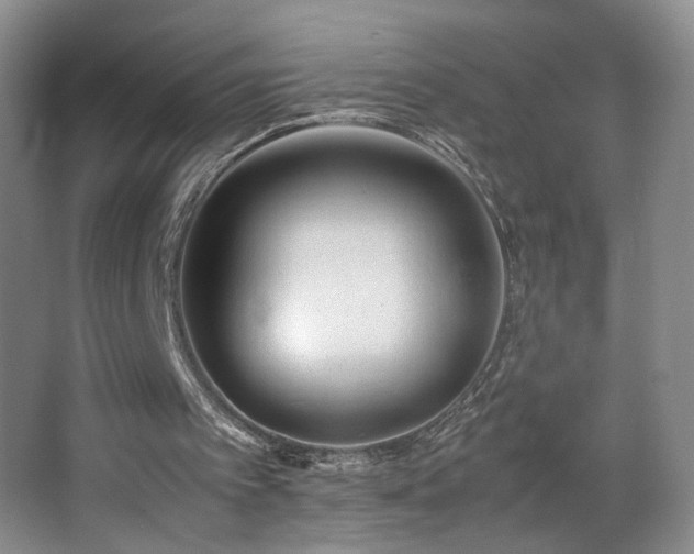 X0000064730097200602101200