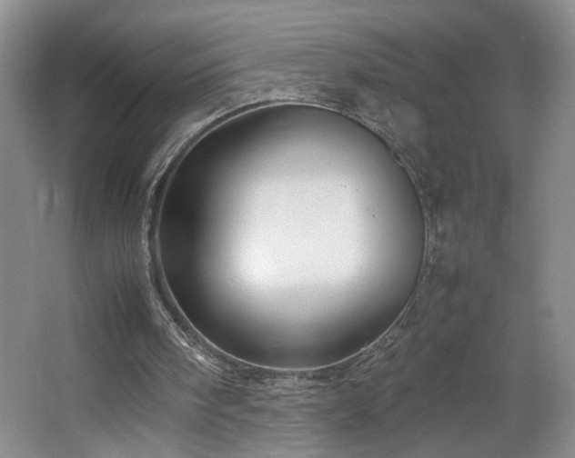 X0000064730098200602101200