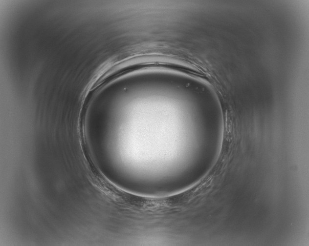 X0000064730099200602101200