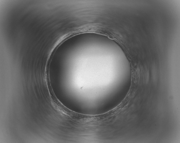 X0000064730100200602101200