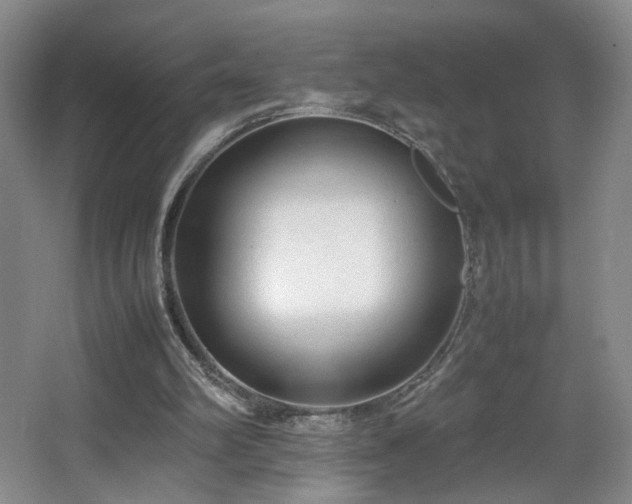 X0000064730102200602101200