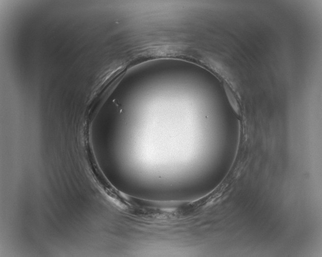 X0000064730105200602101200