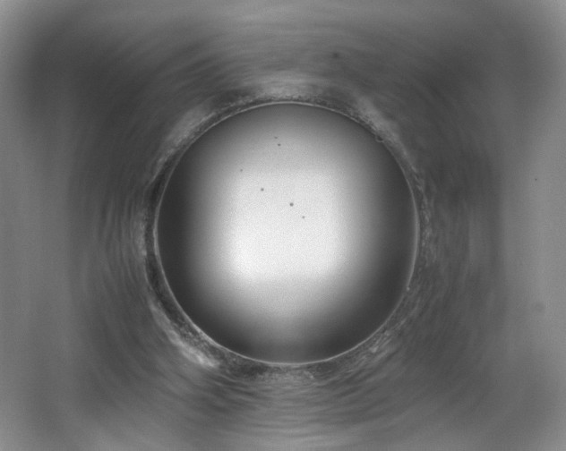 X0000064730106200602101200