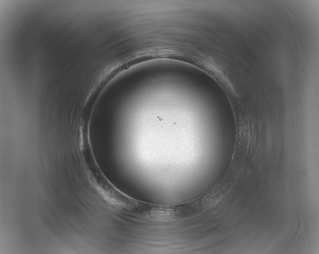 X0000064730110200602101200