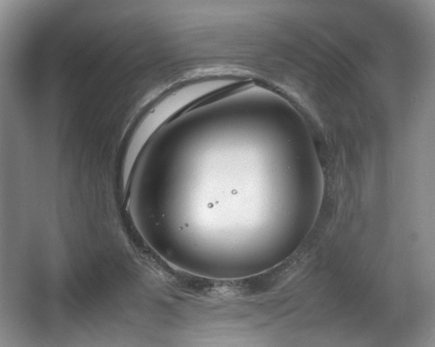 X0000064730111200602101200