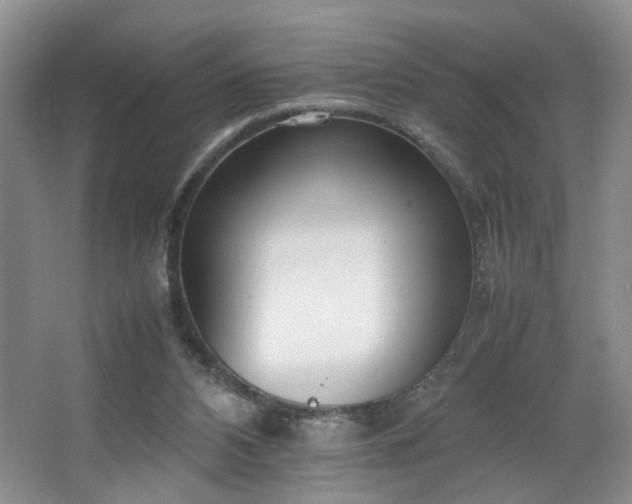 X0000064730112200602101200