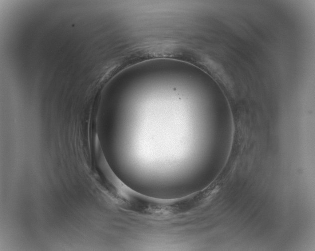 X0000064730113200602101200