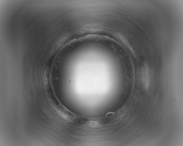 X0000064730114200602101200