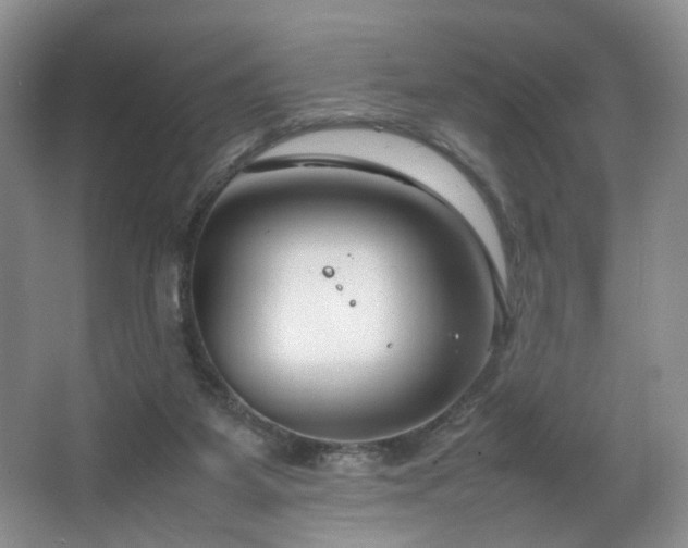 X0000064730115200602101200