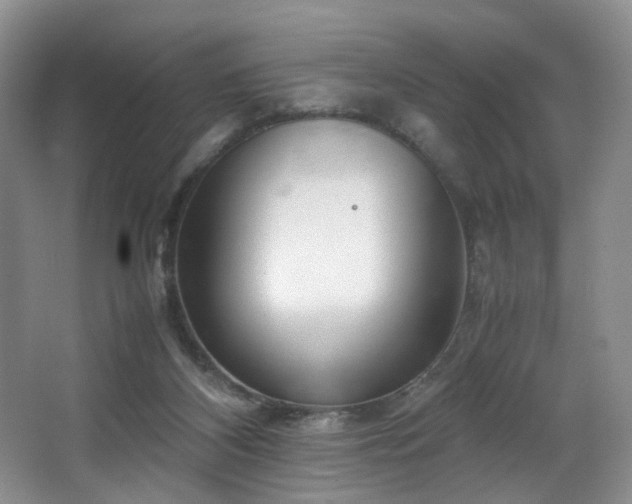 X0000064730116200602101200