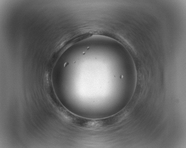 X0000064730117200602101200