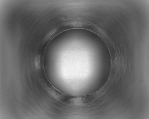 X0000064730120200602101200