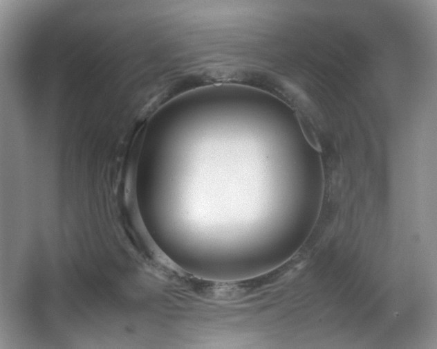 X0000064730121200602101200