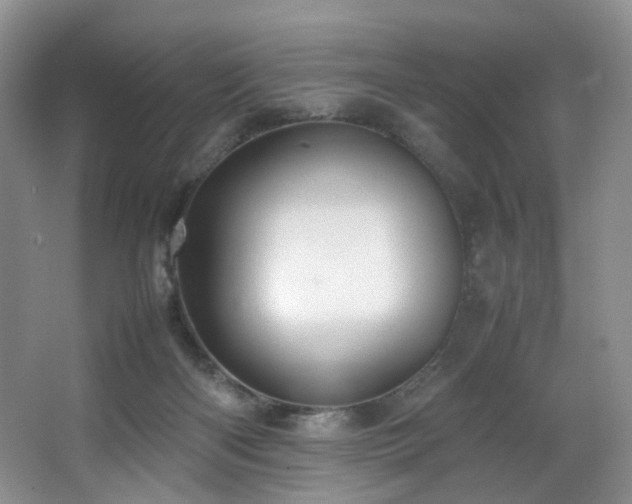 X0000064730122200602101200