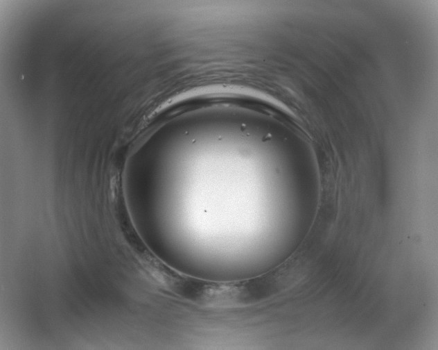 X0000064730125200602101200