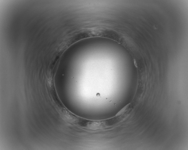 X0000064730129200602101200