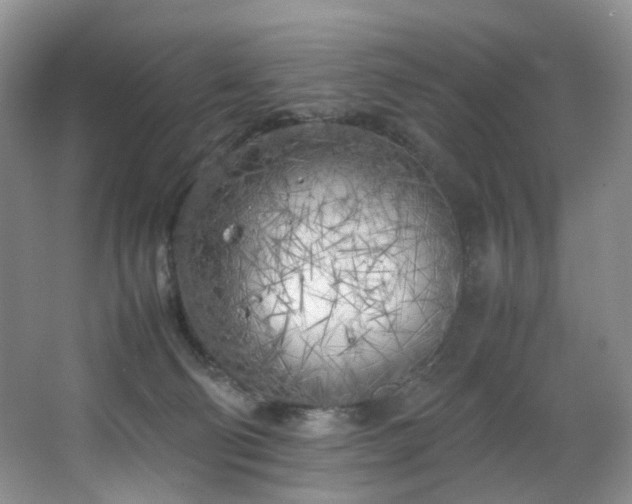 X0000064730130200602101200