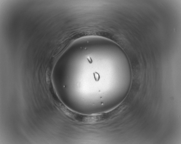 X0000064730131200602101200