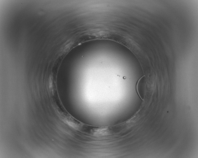 X0000064730132200602101159